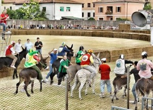 PALIO DEI CIUCHI